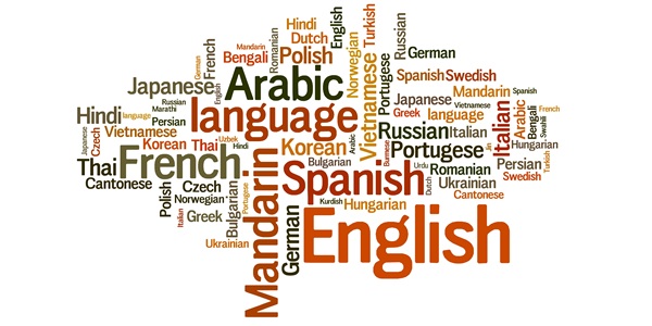 Vulcanizing Press Multilingual User Interface